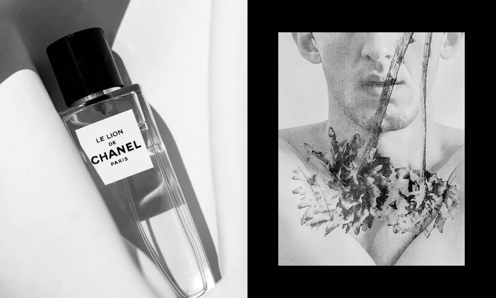 Perfume Review: Le Lion by CHANEL – The Candy Perfume Boy