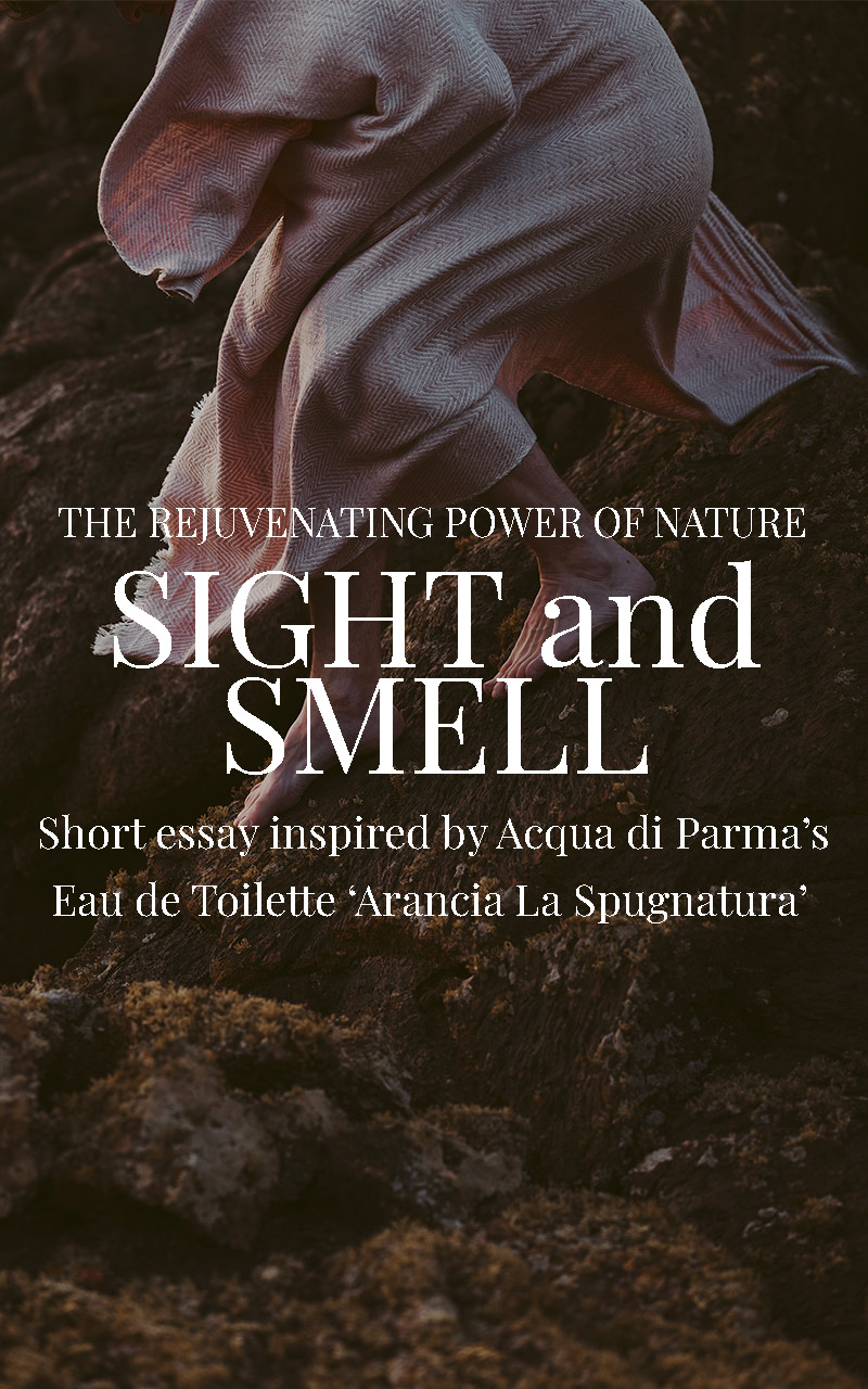 thegreatestmagazine_sightandsmell_acquadiparma_home_mobile